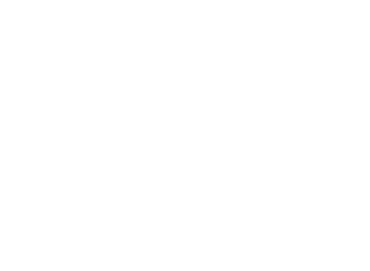 Logo CAMELLO